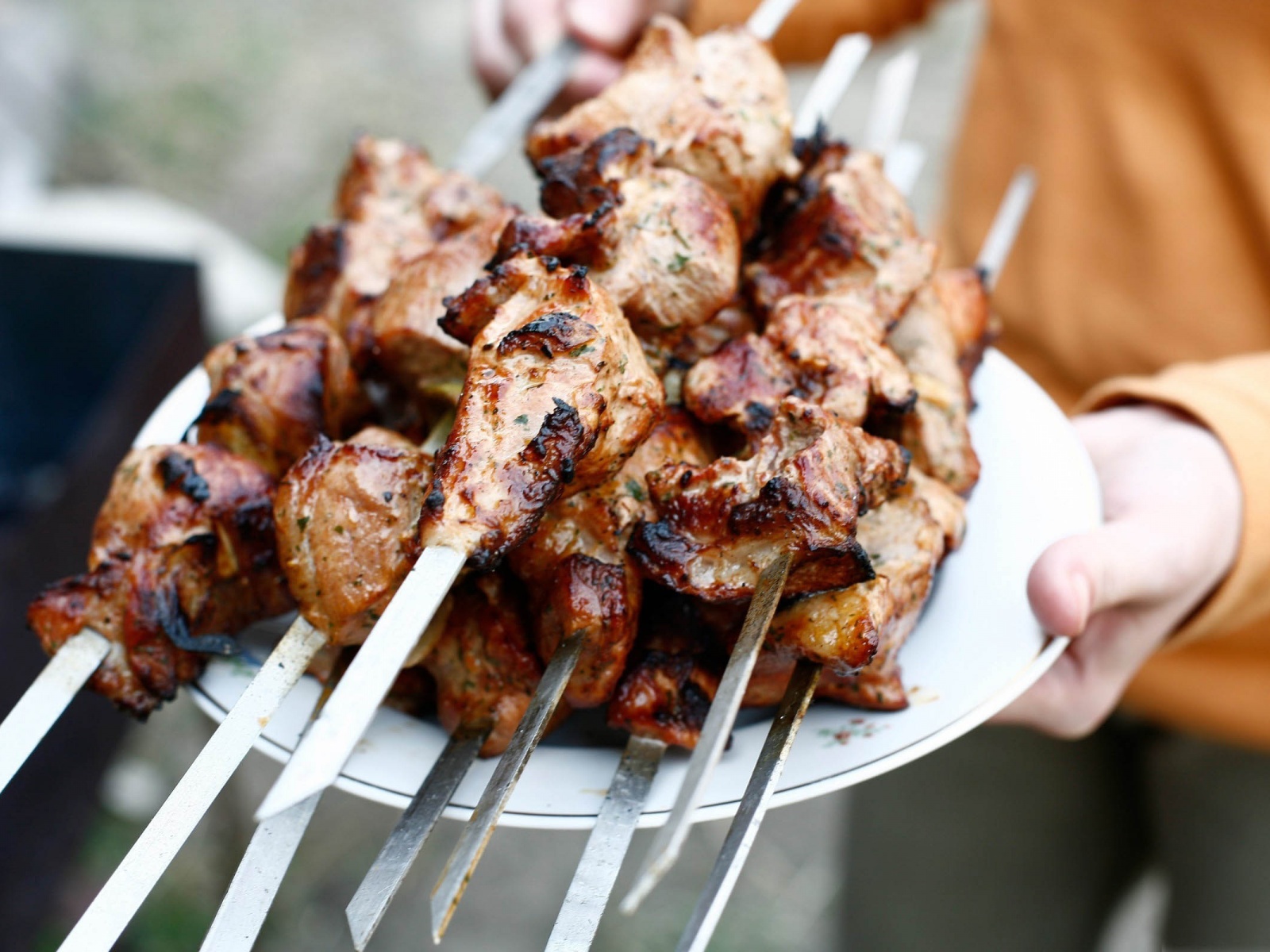 Meat Skewers