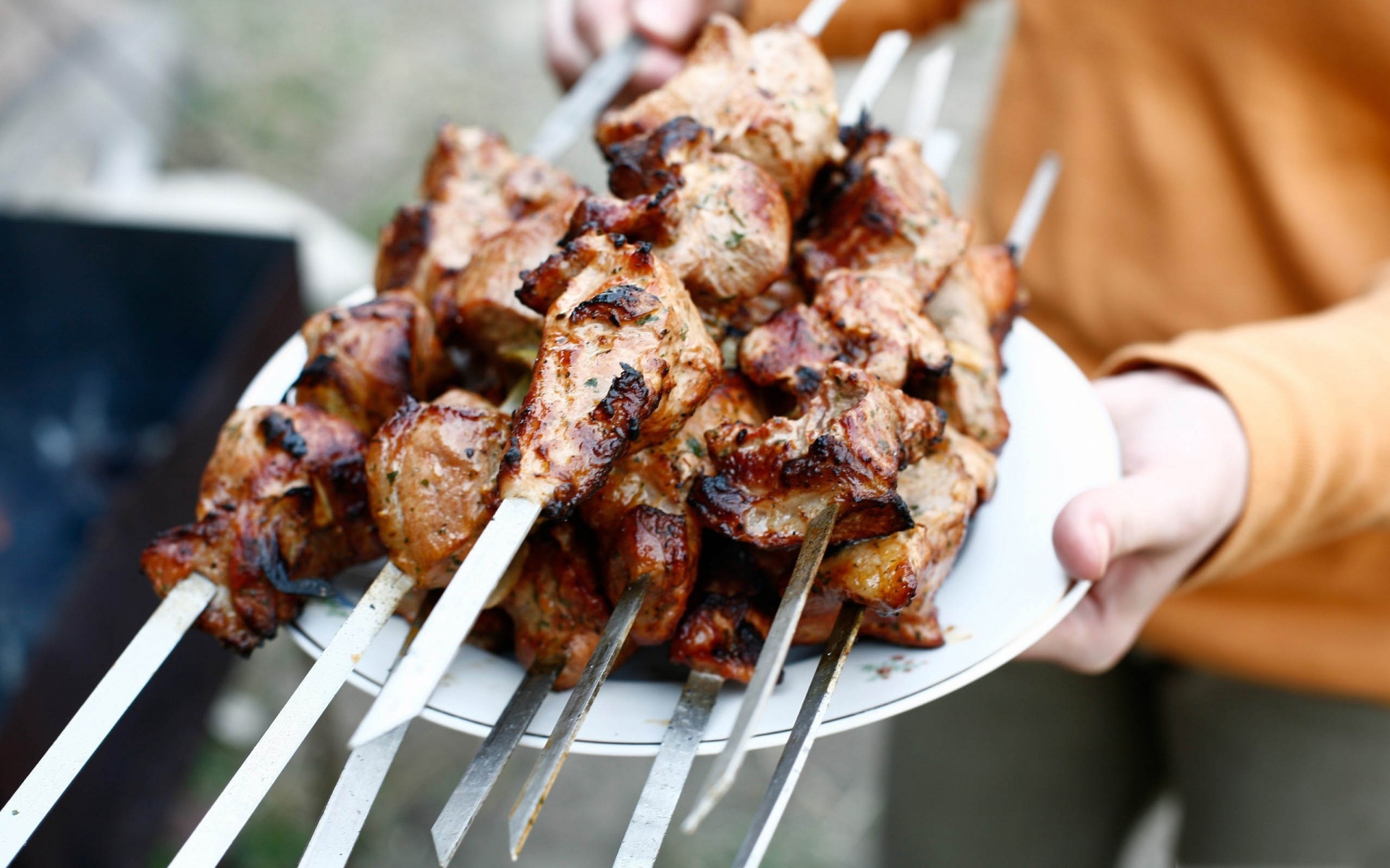 Meat Skewers