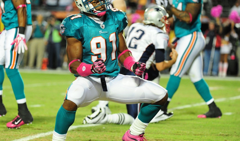 Miami Dolphins American Football Cameron Wake