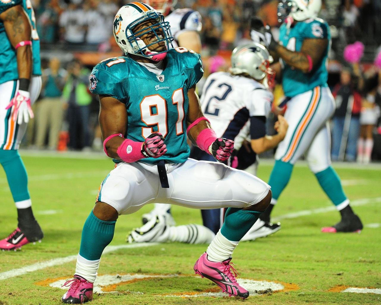 Miami Dolphins American Football Cameron Wake