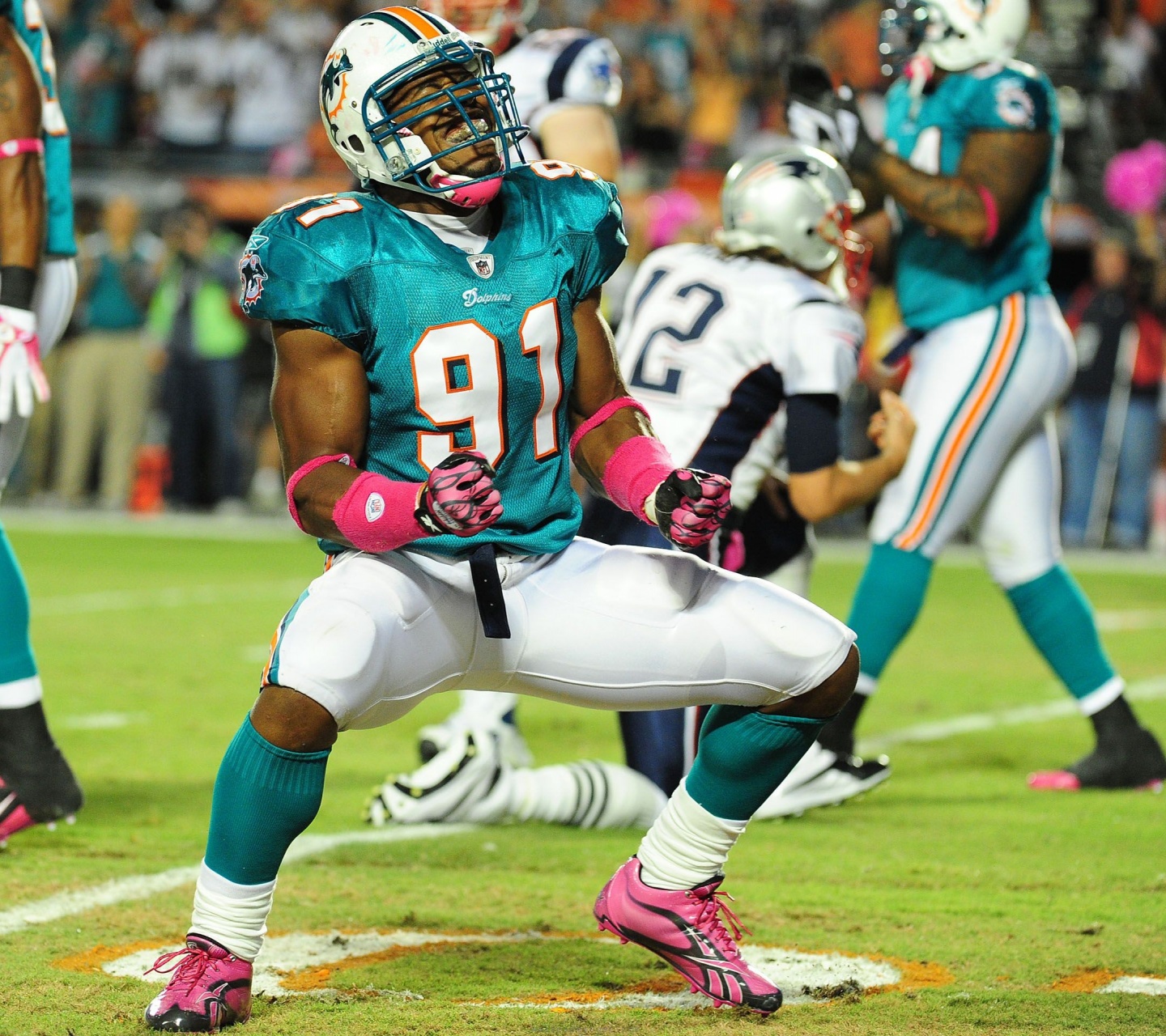 Miami Dolphins American Football Cameron Wake