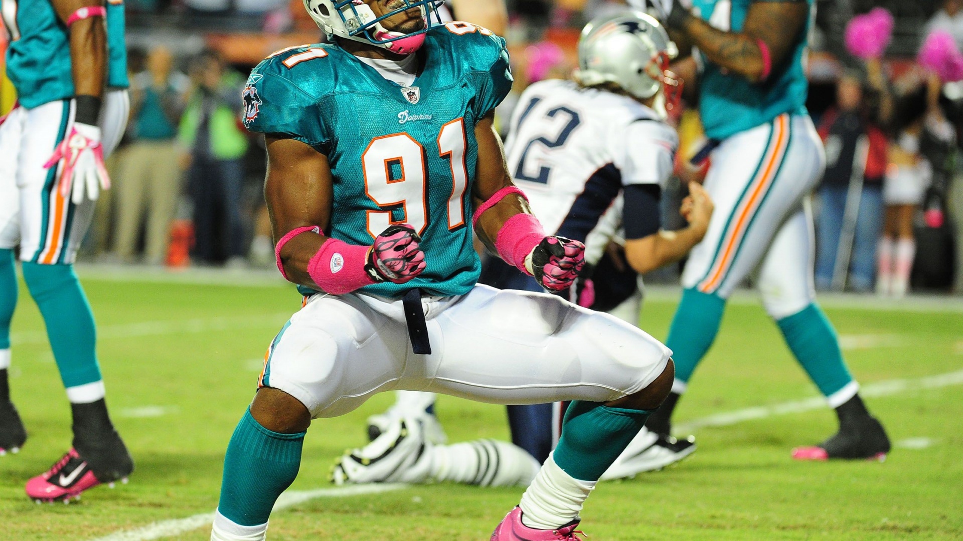 Miami Dolphins American Football Cameron Wake