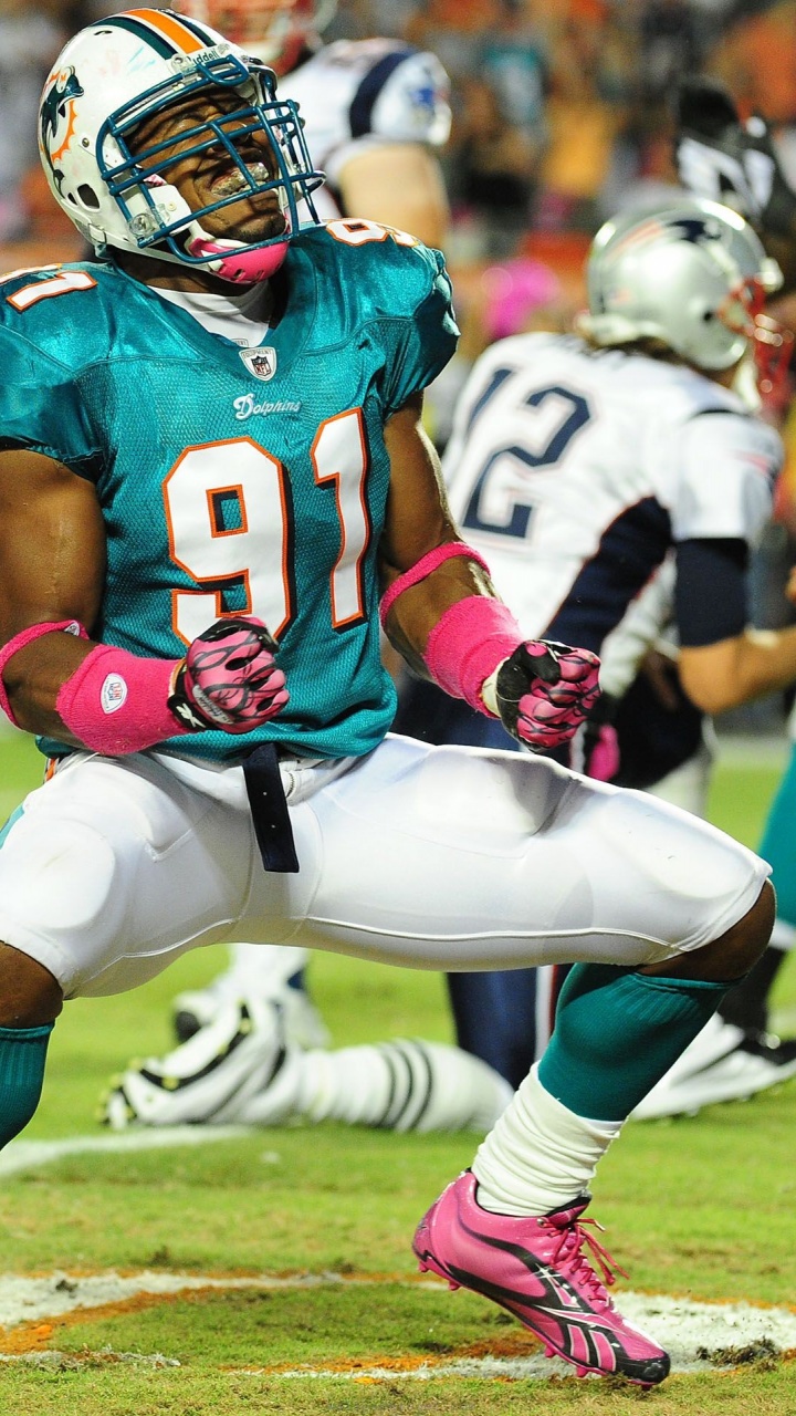 Miami Dolphins American Football Cameron Wake