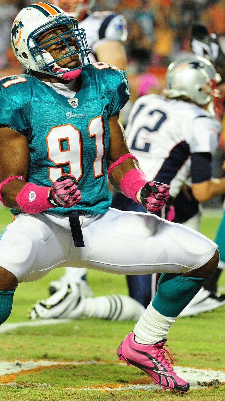 Miami Dolphins American Football Cameron Wake