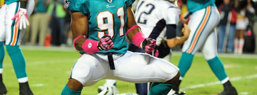 Miami Dolphins American Football Cameron Wake