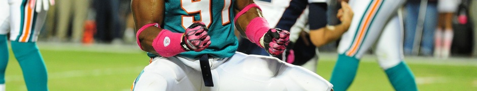 Miami Dolphins American Football Cameron Wake