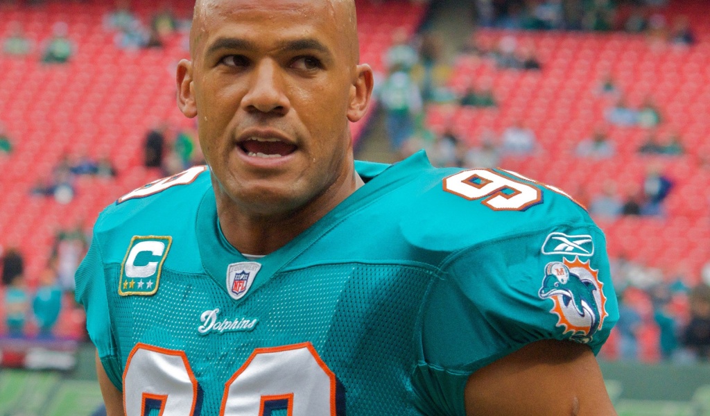 Miami Dolphins American Football Jason Taylor