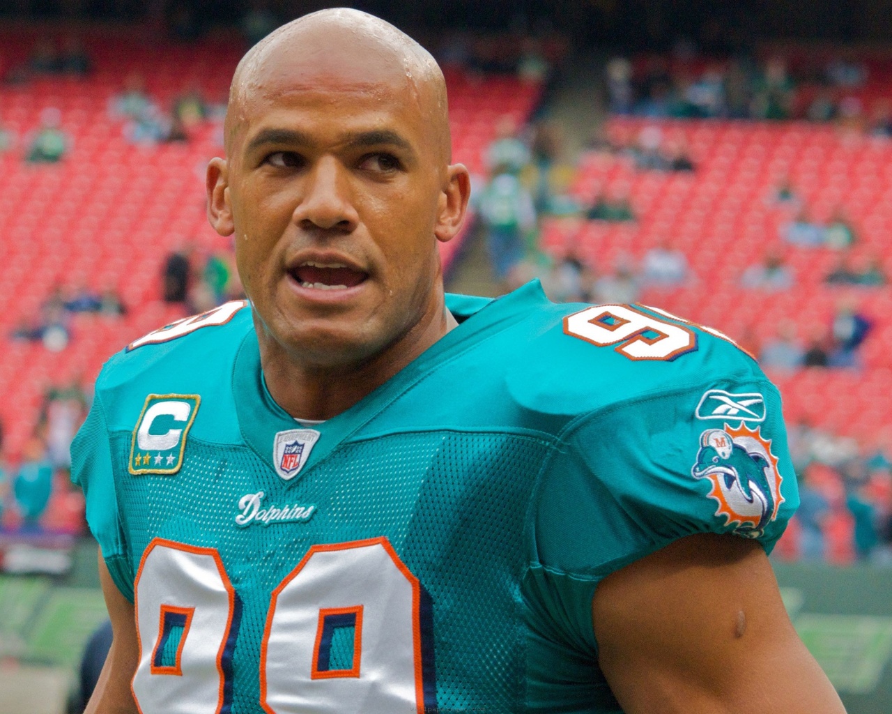 Miami Dolphins American Football Jason Taylor