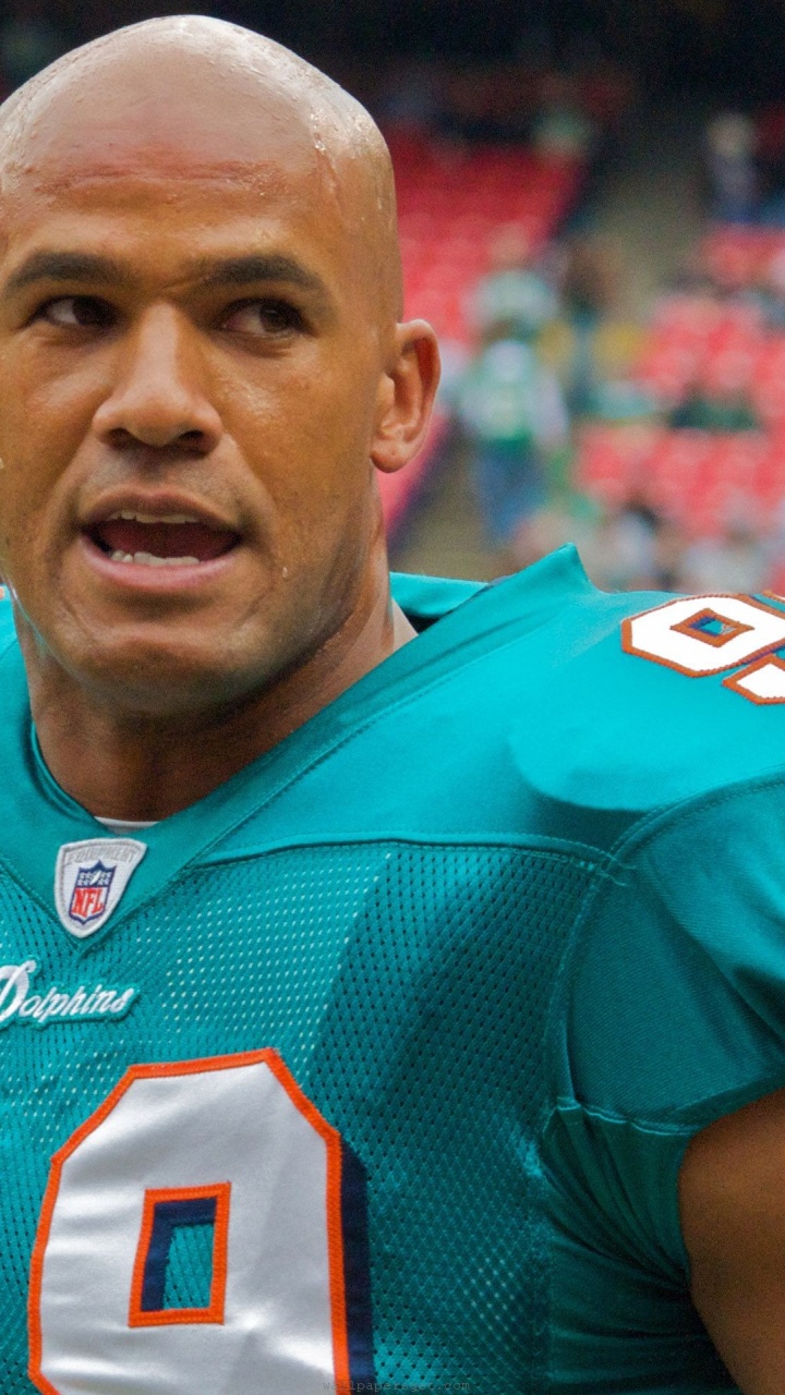 Miami Dolphins American Football Jason Taylor