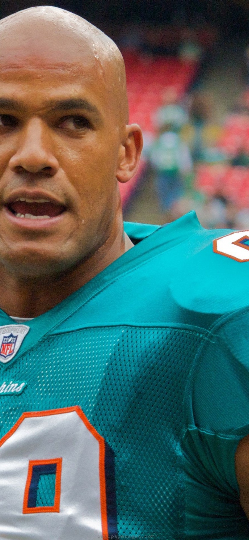 Miami Dolphins American Football Jason Taylor
