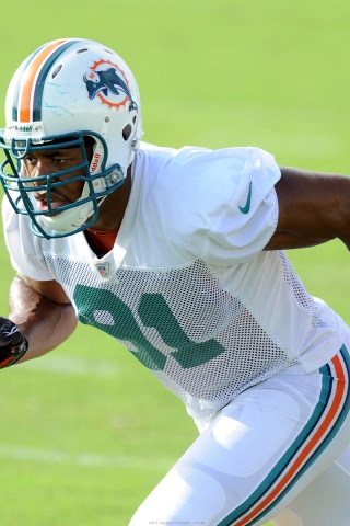 Miami Dolphins American Football Linebacker Cameron Wake