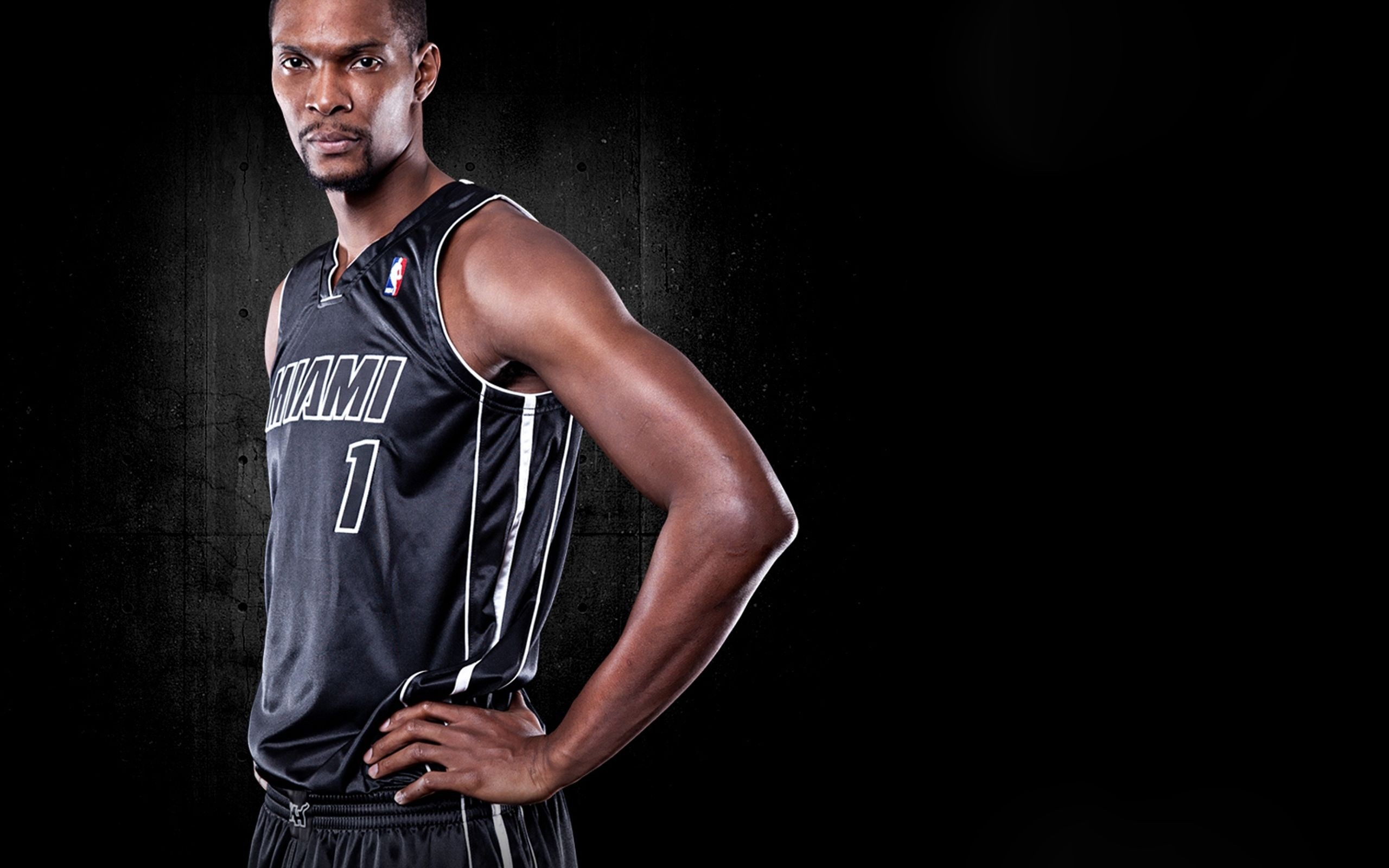 Miami Heat American Professional Basketball Functional Power Forward Chris Bosh