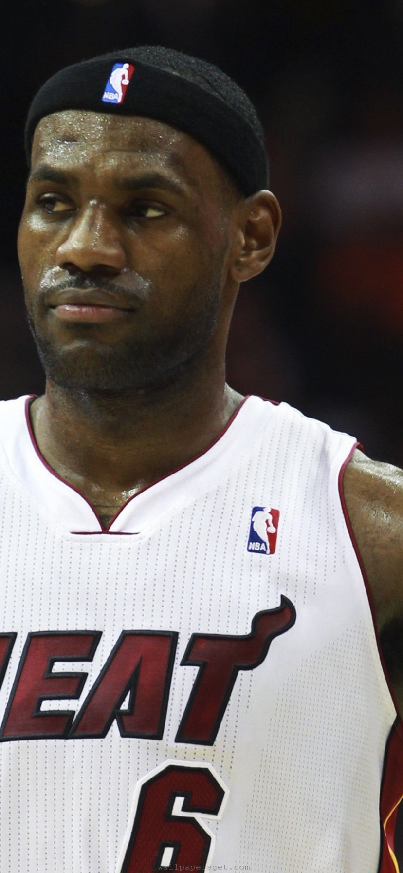 Miami Heat American Professional Basketball Lebron James Mvp