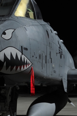 Military A10 Thunderbolt Ii