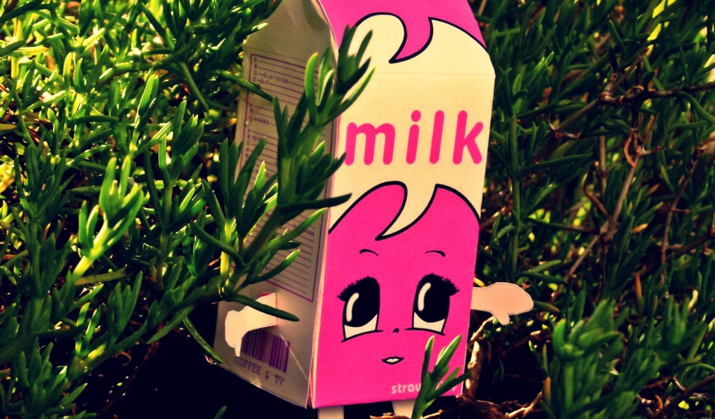 Milk Fem