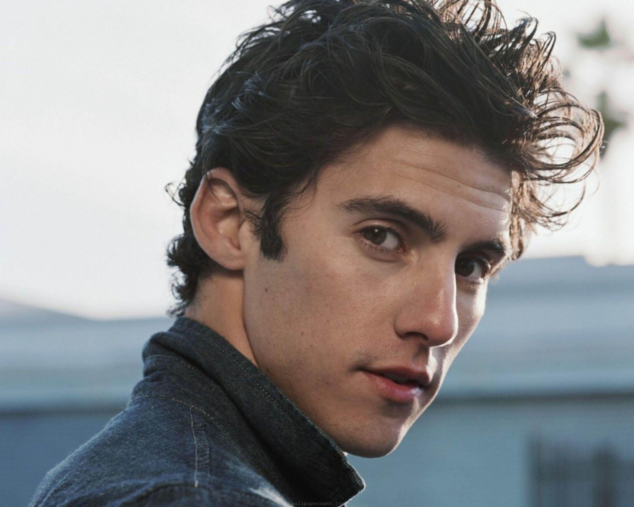 Milo Ventimiglia American Actor Boyish Good Looks Men