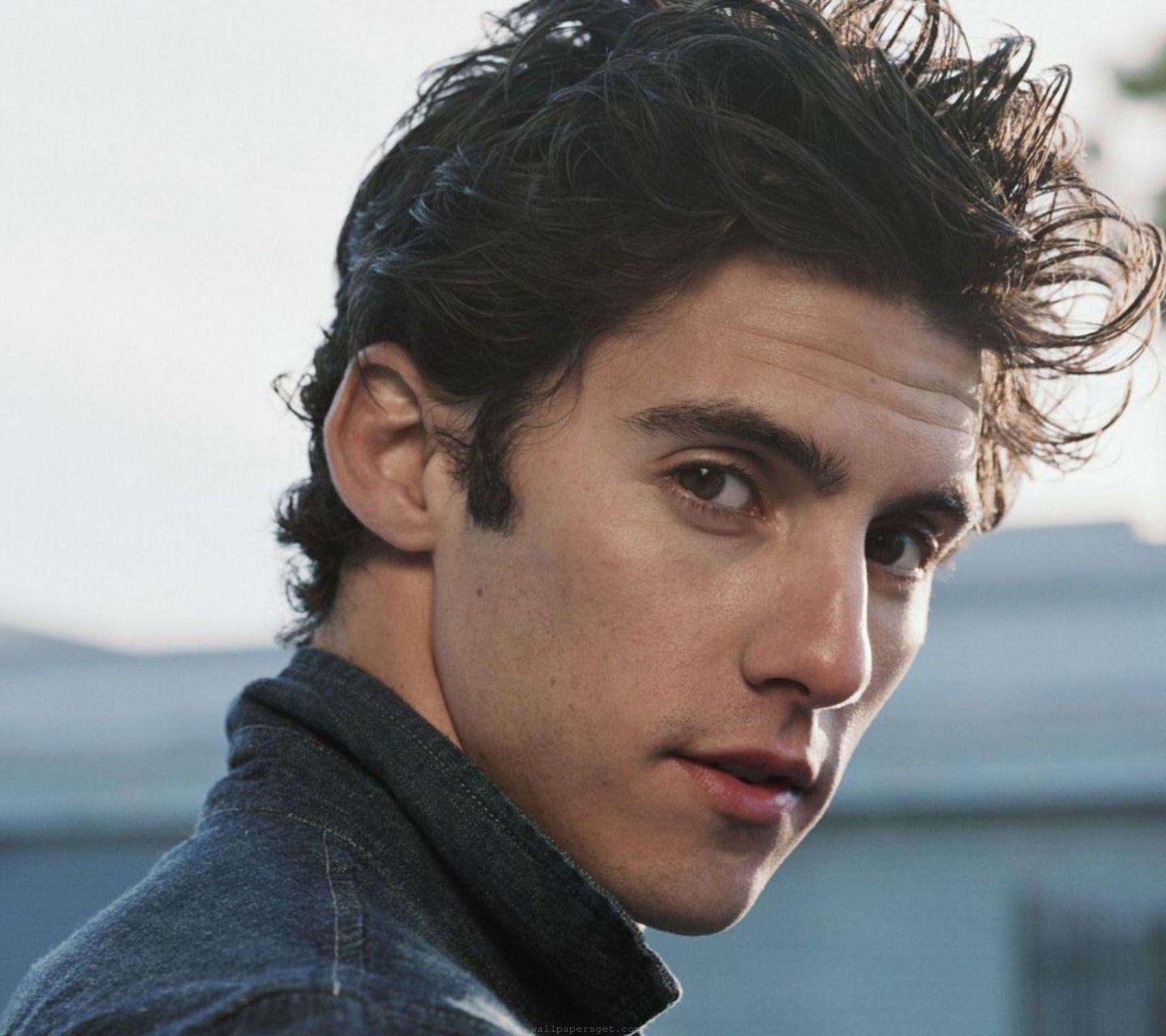 Milo Ventimiglia American Actor Boyish Good Looks Men