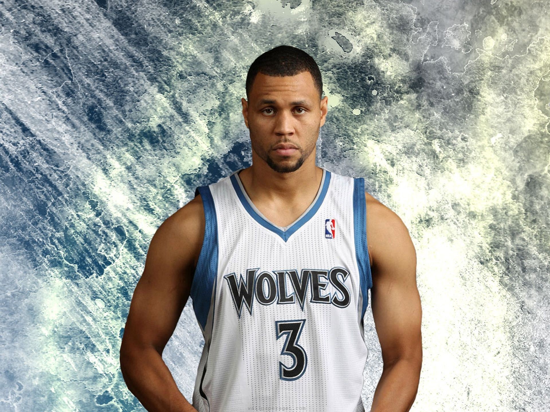 Minnesota Timberwolves Nba Brandon Roy