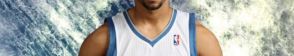 Minnesota Timberwolves Nba Brandon Roy