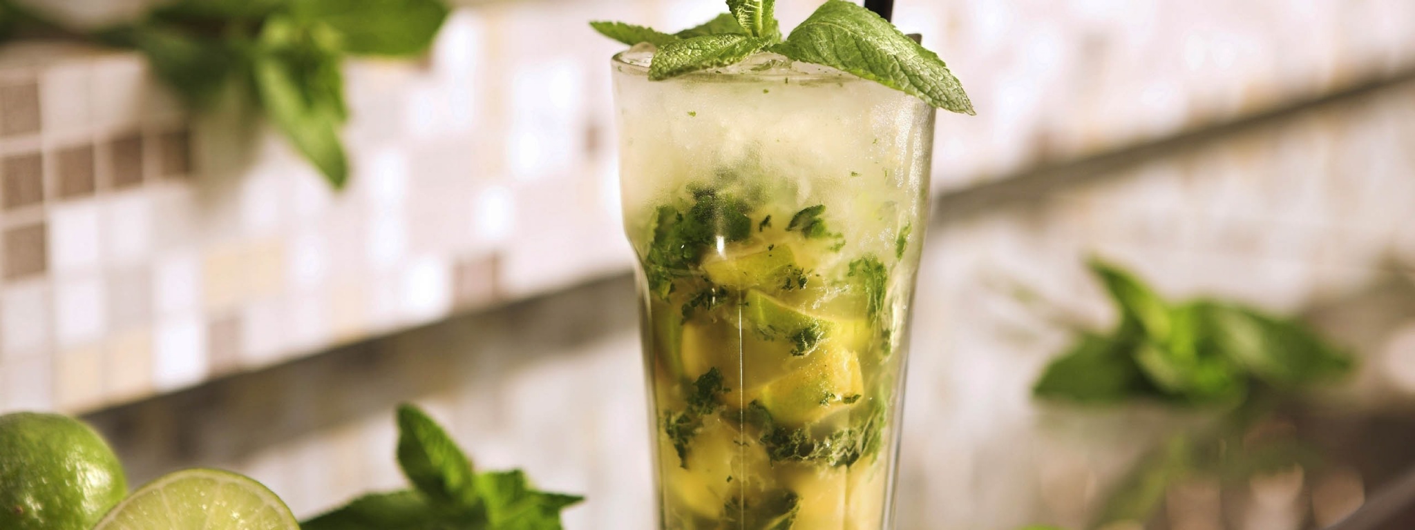 Mojito Cocktail