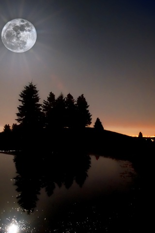 Moon Light In Night