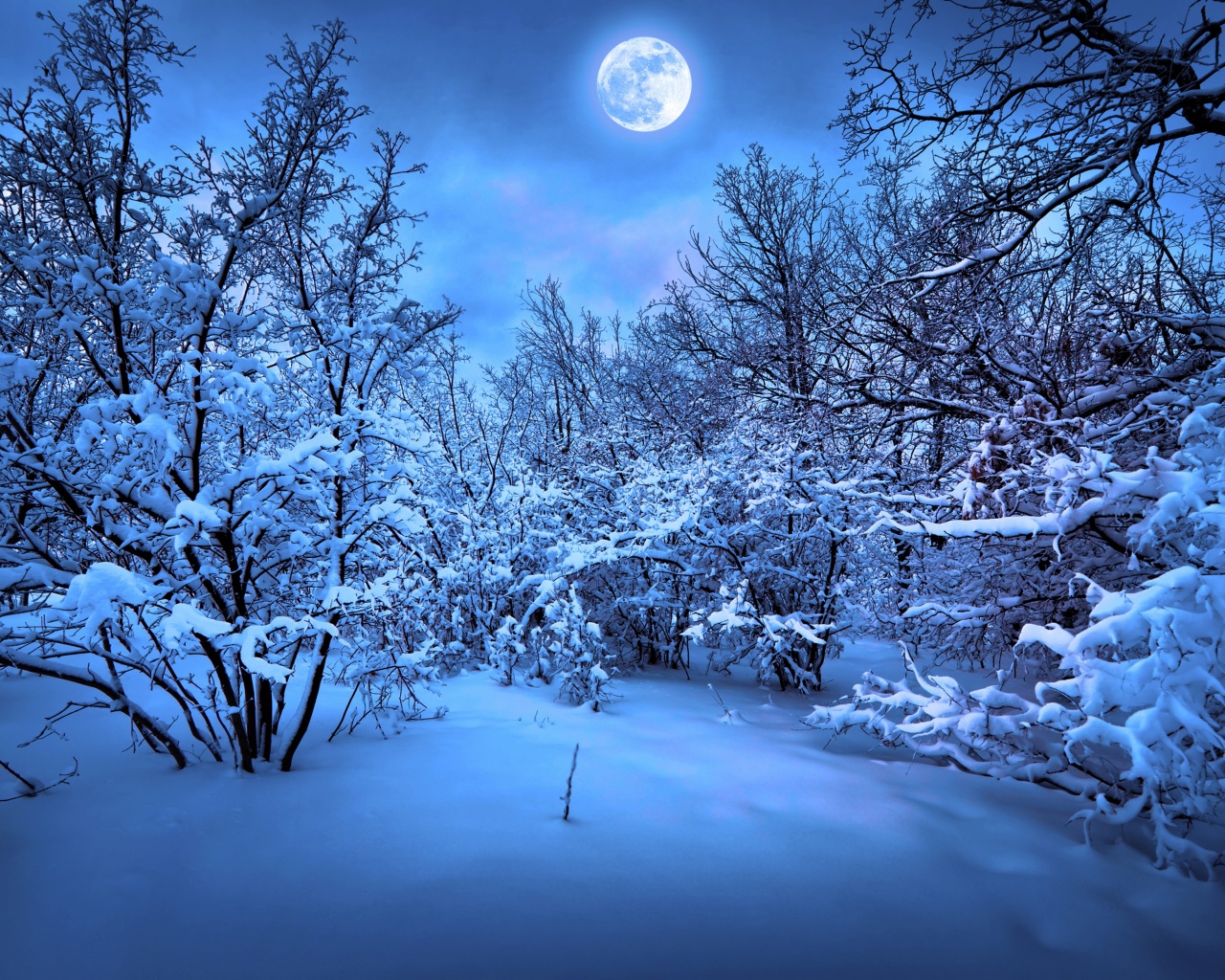 Moonlight On The Snowy Woods