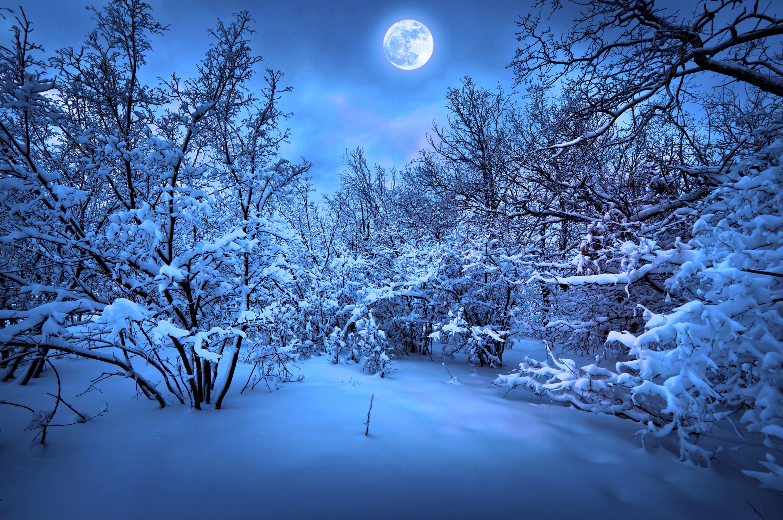 Moonlight On The Snowy Woods