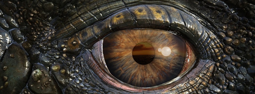 Mosasaur Eye