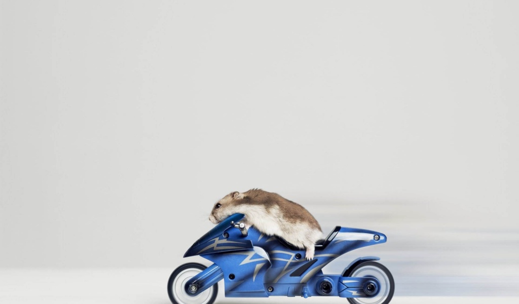 Mouse Riding Motorcycle
