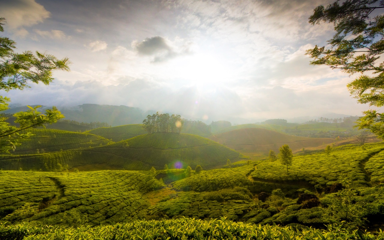 Munnar Hill Station Kerala India