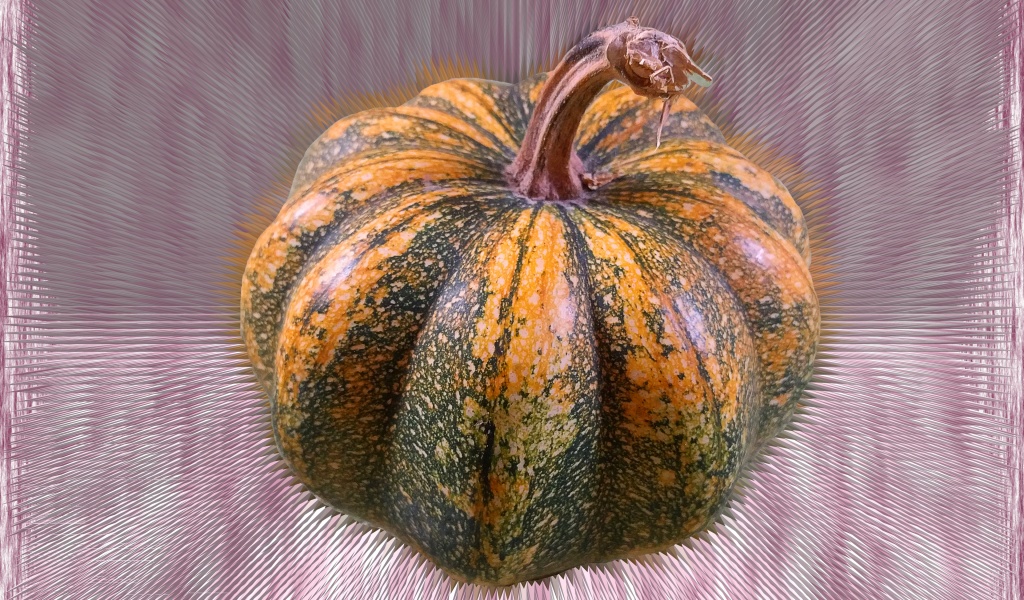 Mutated Pumpkin