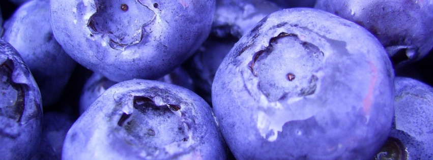Nature Fruits Food Plants Macro Berries Blueberries