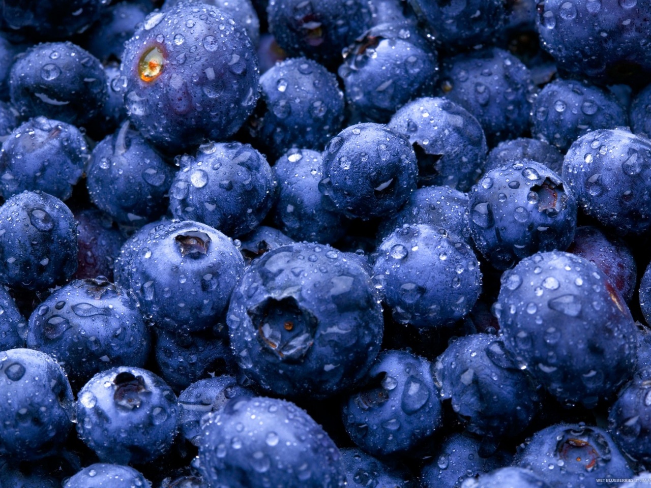 Nature Fruits Food Water Drops Berries Blueberries