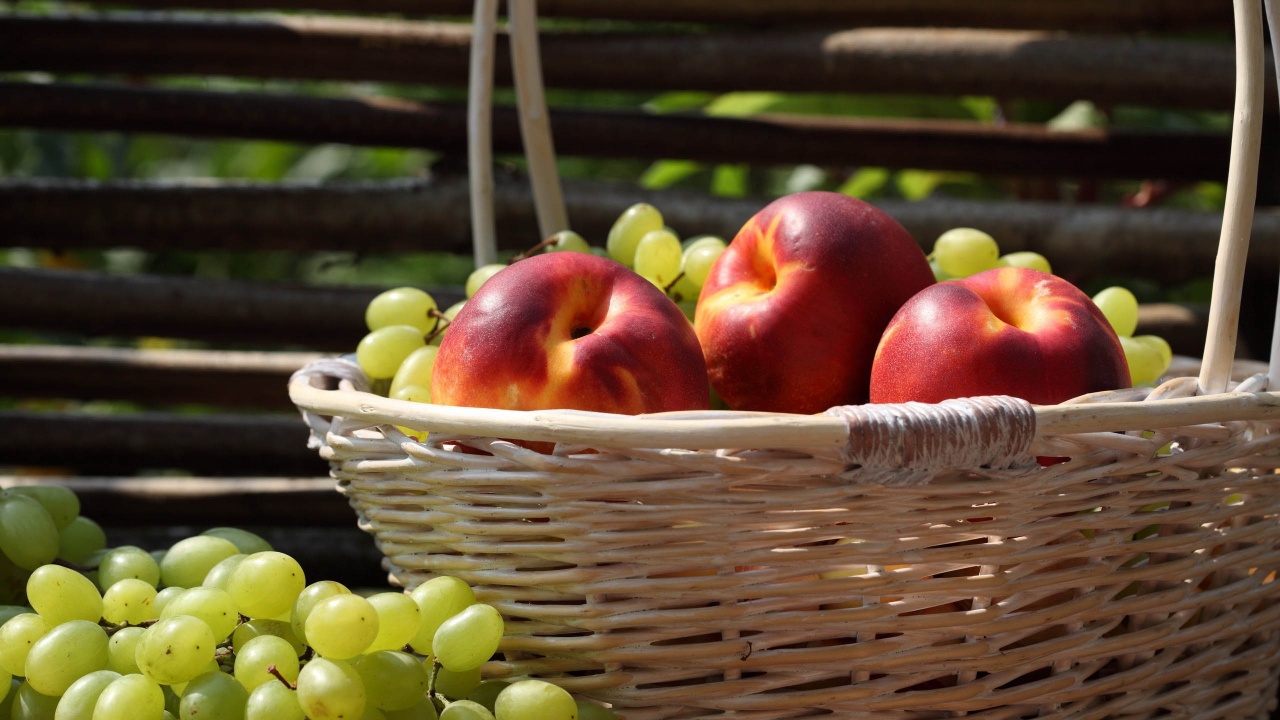 Nectarines And Grapes