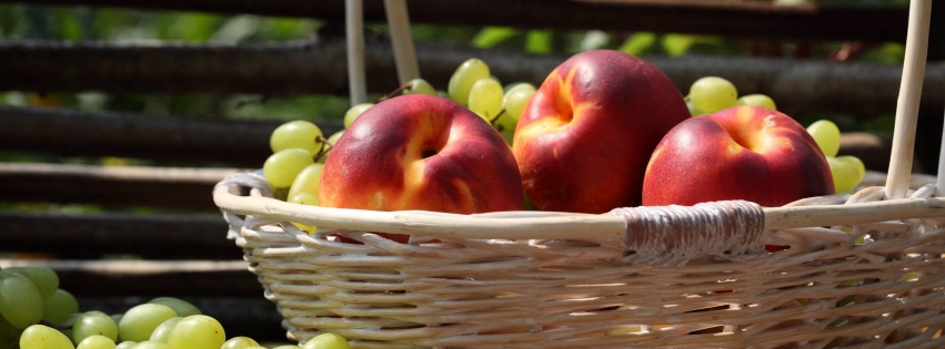 Nectarines And Grapes