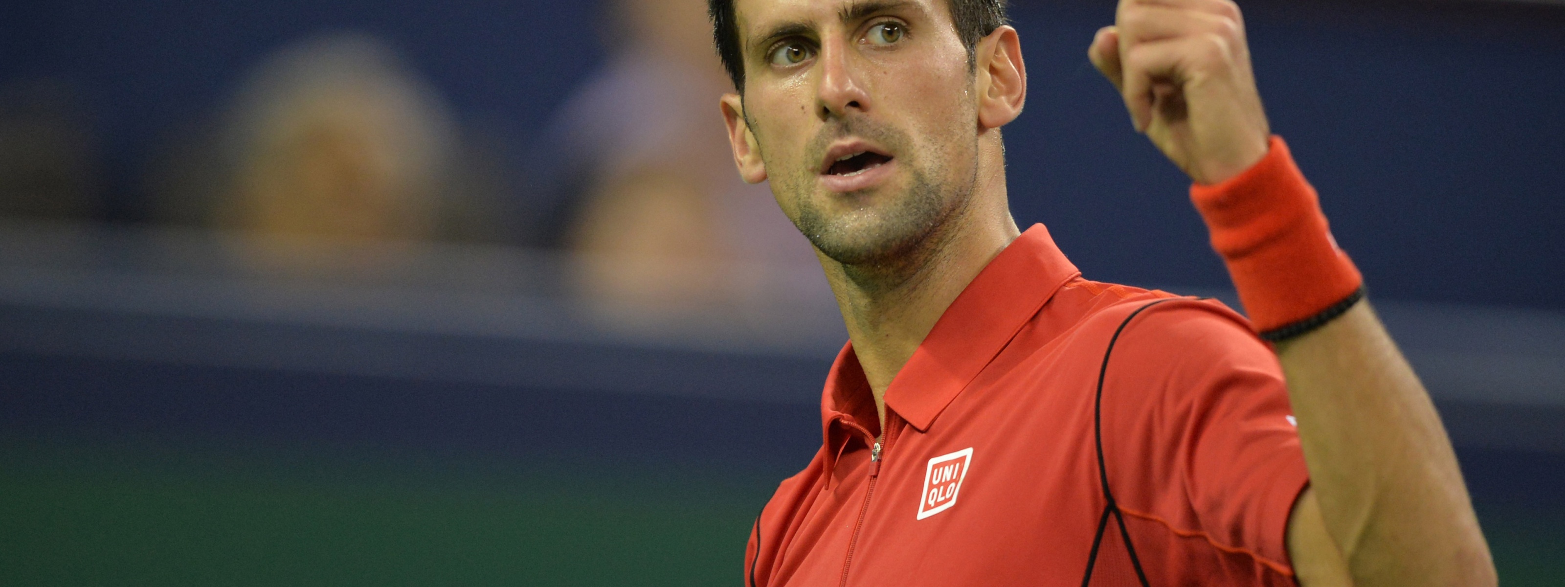 Novak Djokovic Tennis Player