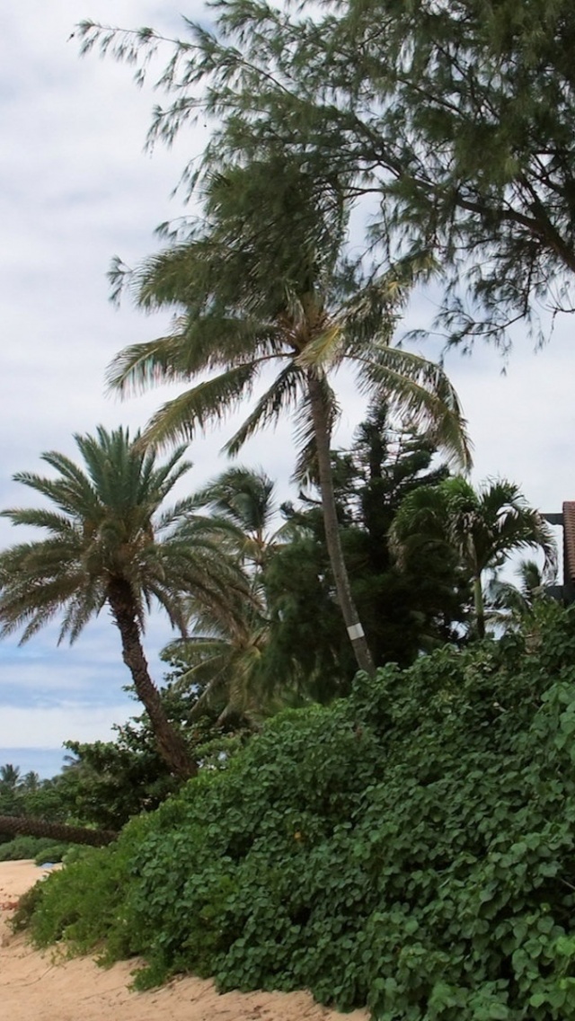 Oahu Beach Nature Landscapes