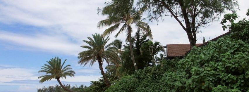 Oahu Beach Nature Landscapes