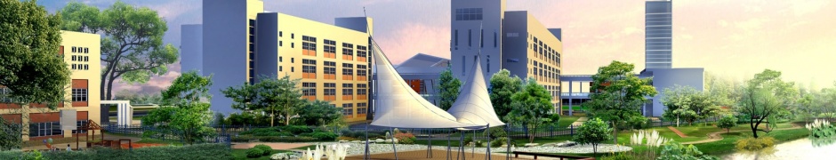 Office Buildings 3D Model Render