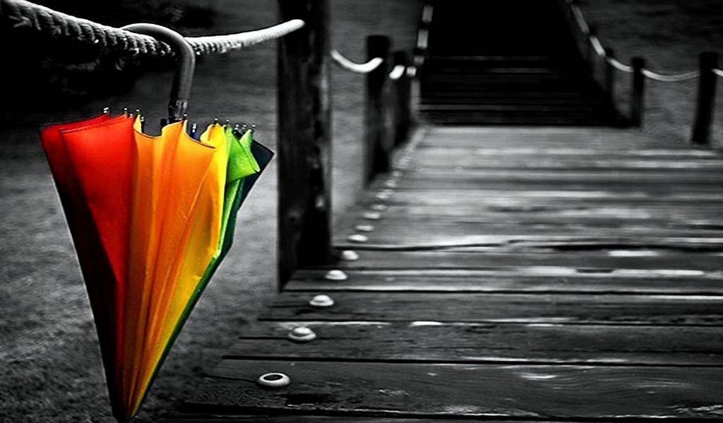 One Colorful Umbrella