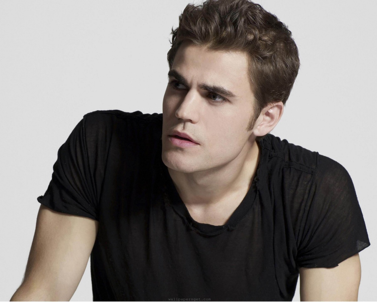 Paul Wesley Usa Actor Handsome Appearance Melancholy Temperament Men