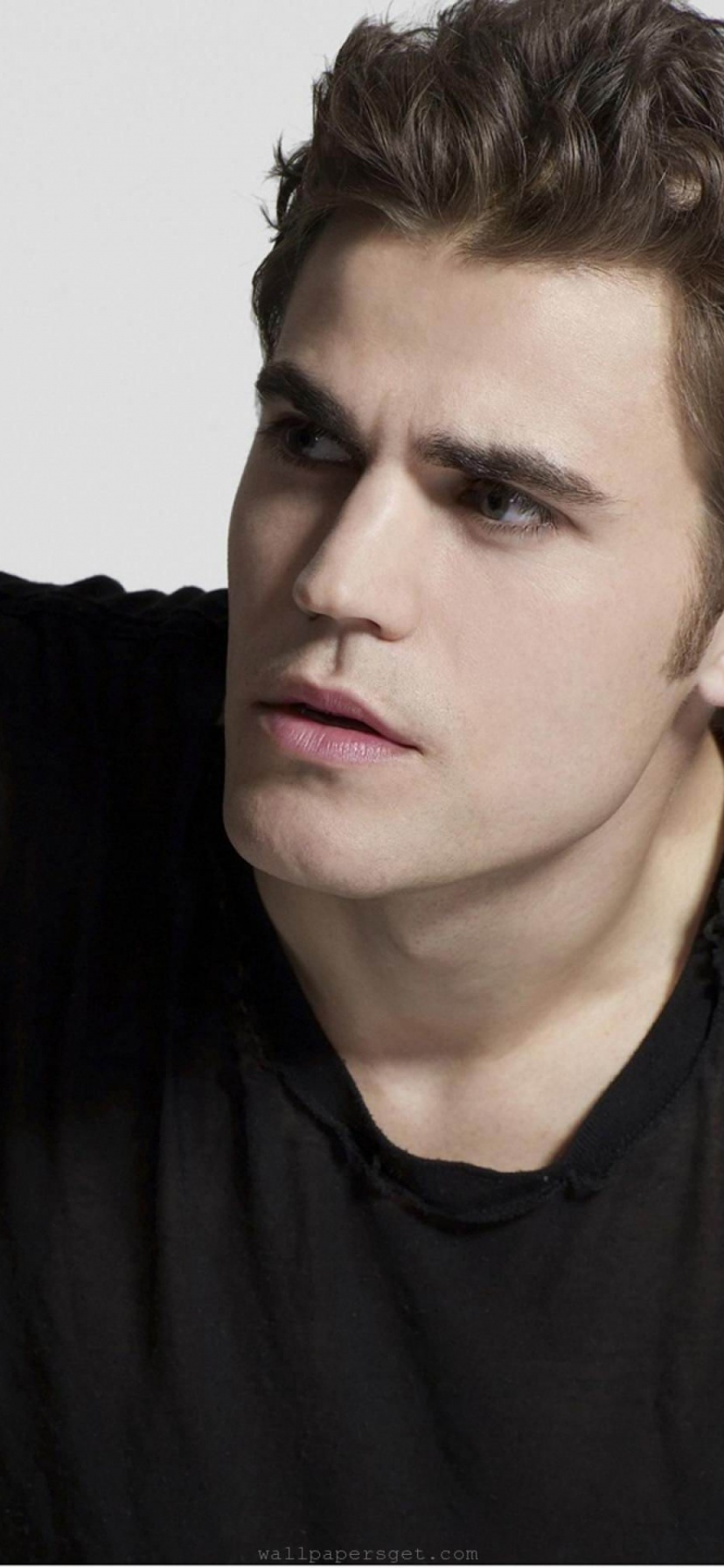 Paul Wesley Usa Actor Handsome Appearance Melancholy Temperament Men