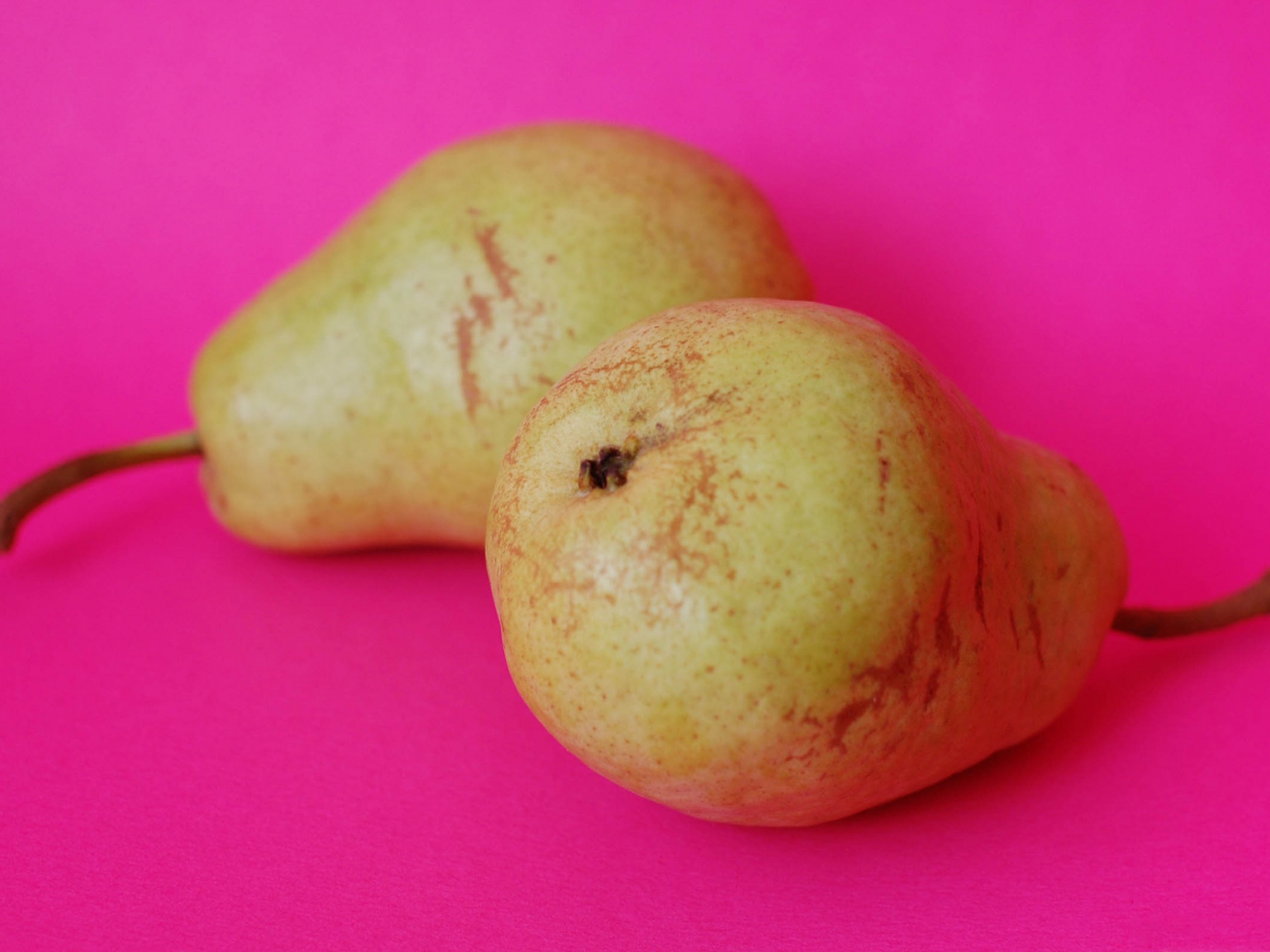 Pears