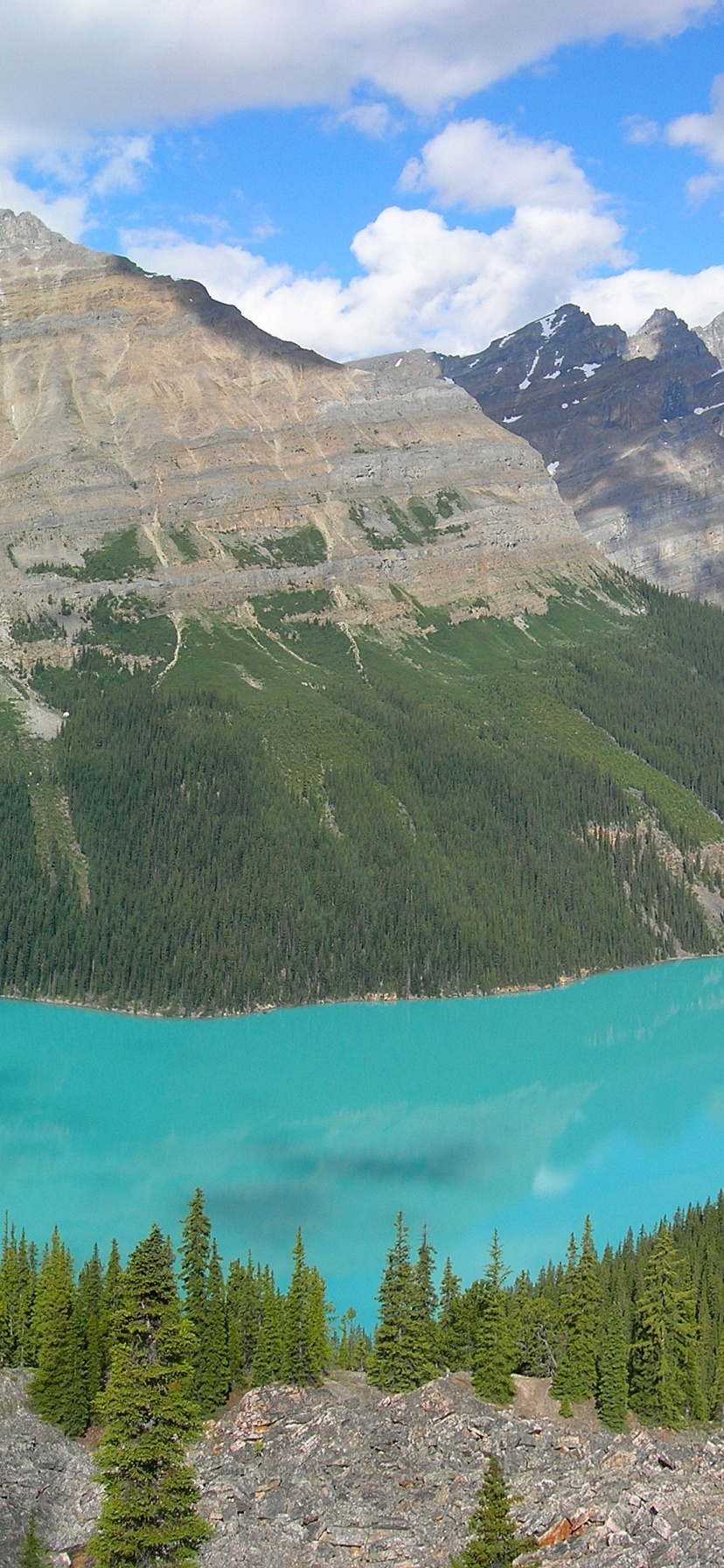 Peyto Lake In Banff N. Park (Canada)