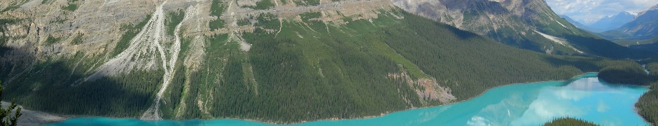 Peyto Lake In Banff N. Park (Canada)