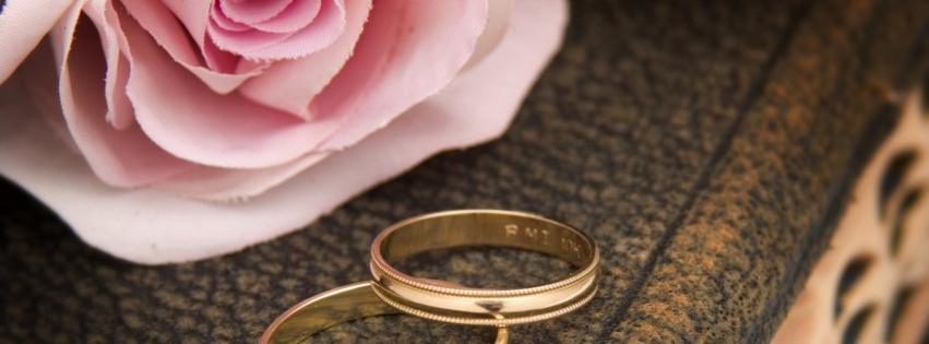 Pink Rose And Two Wedding Rings