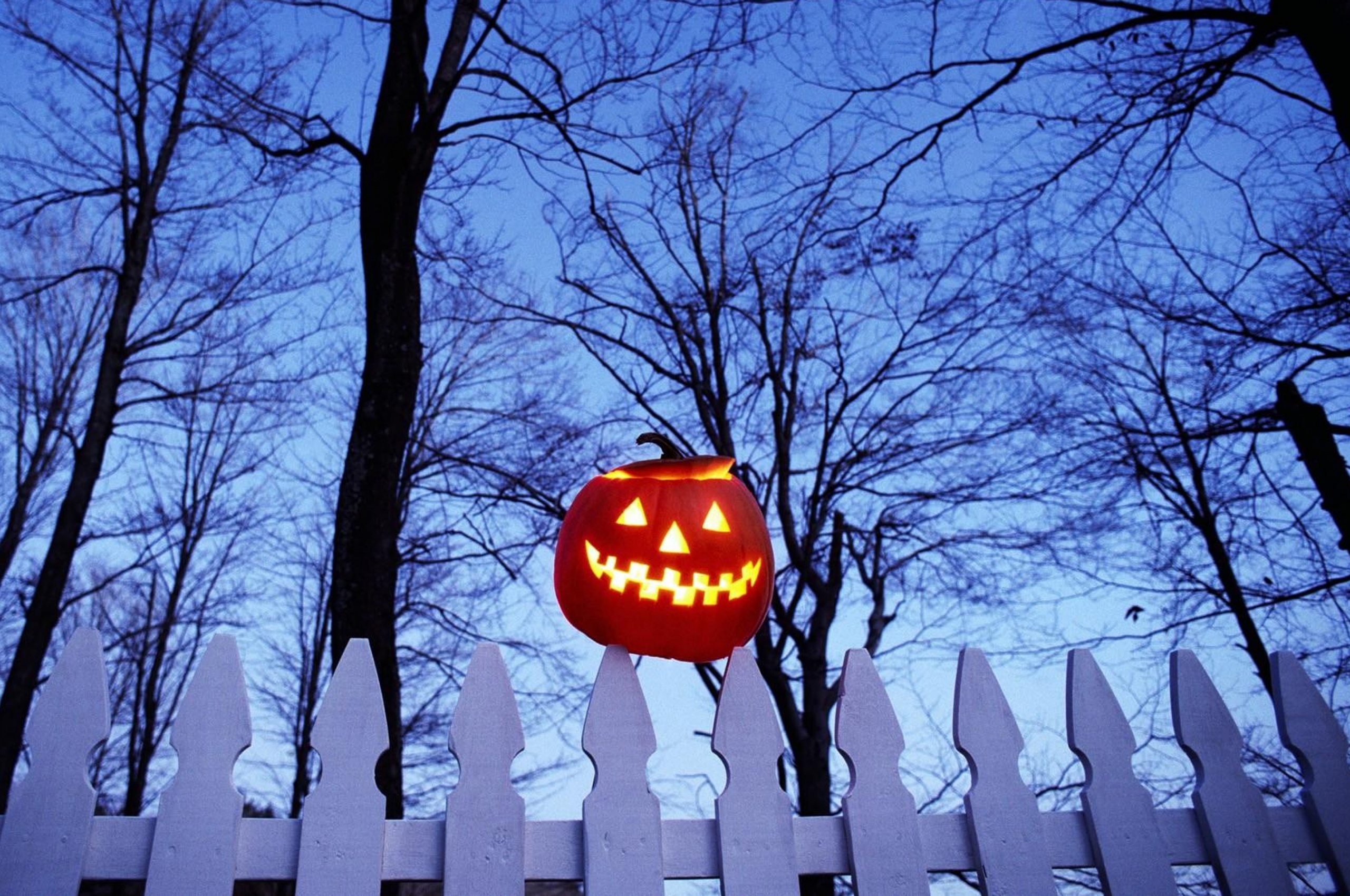 Pumpkin On Fence
