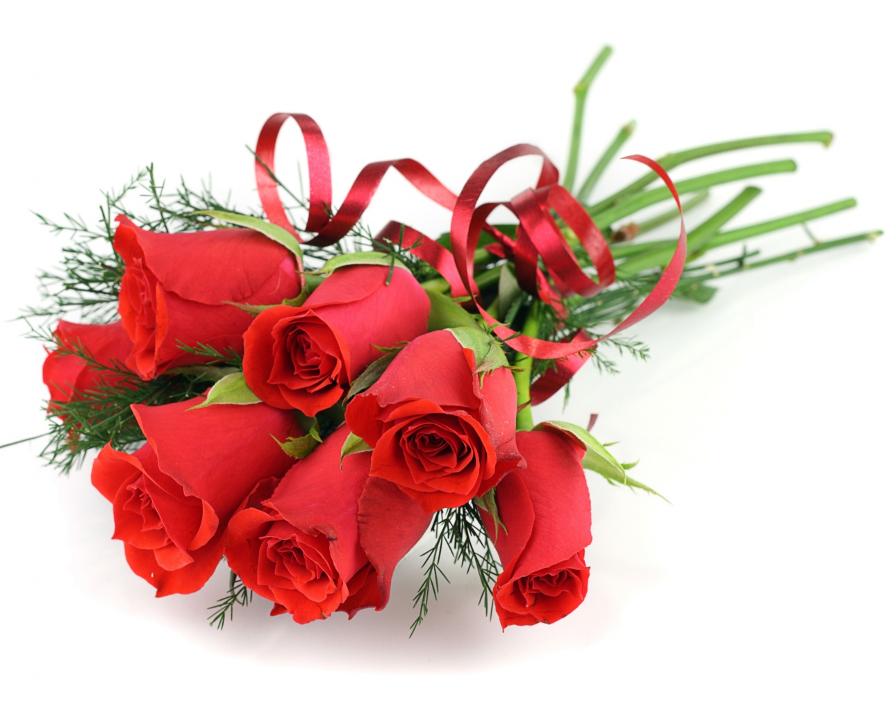 Red Roses For March 8 Womens Day