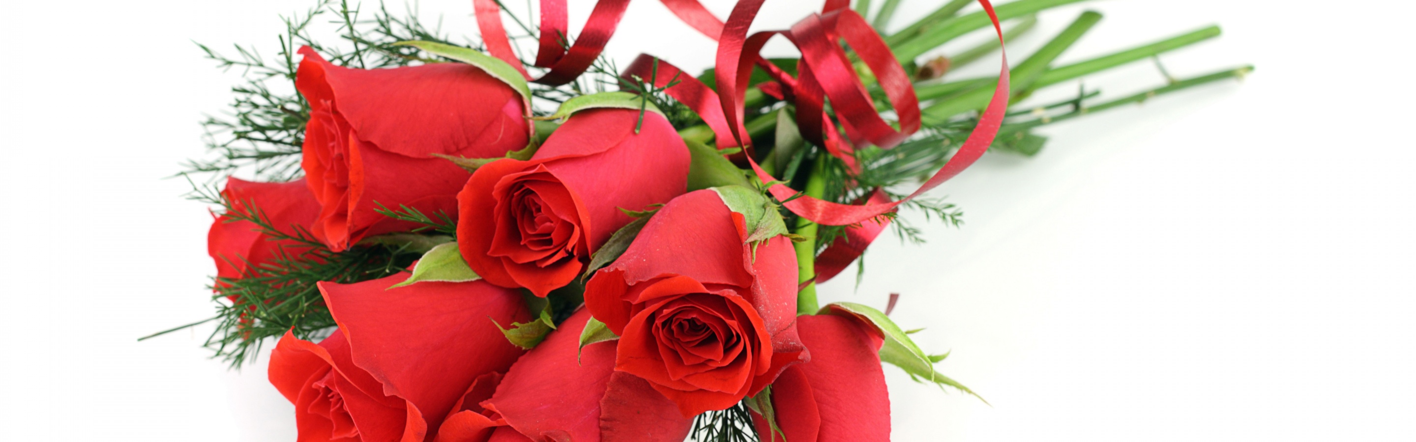 Red Roses For March 8 Womens Day