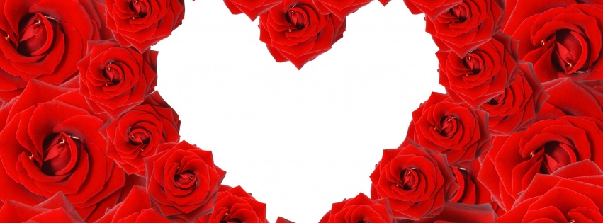 Red Roses Love Heart